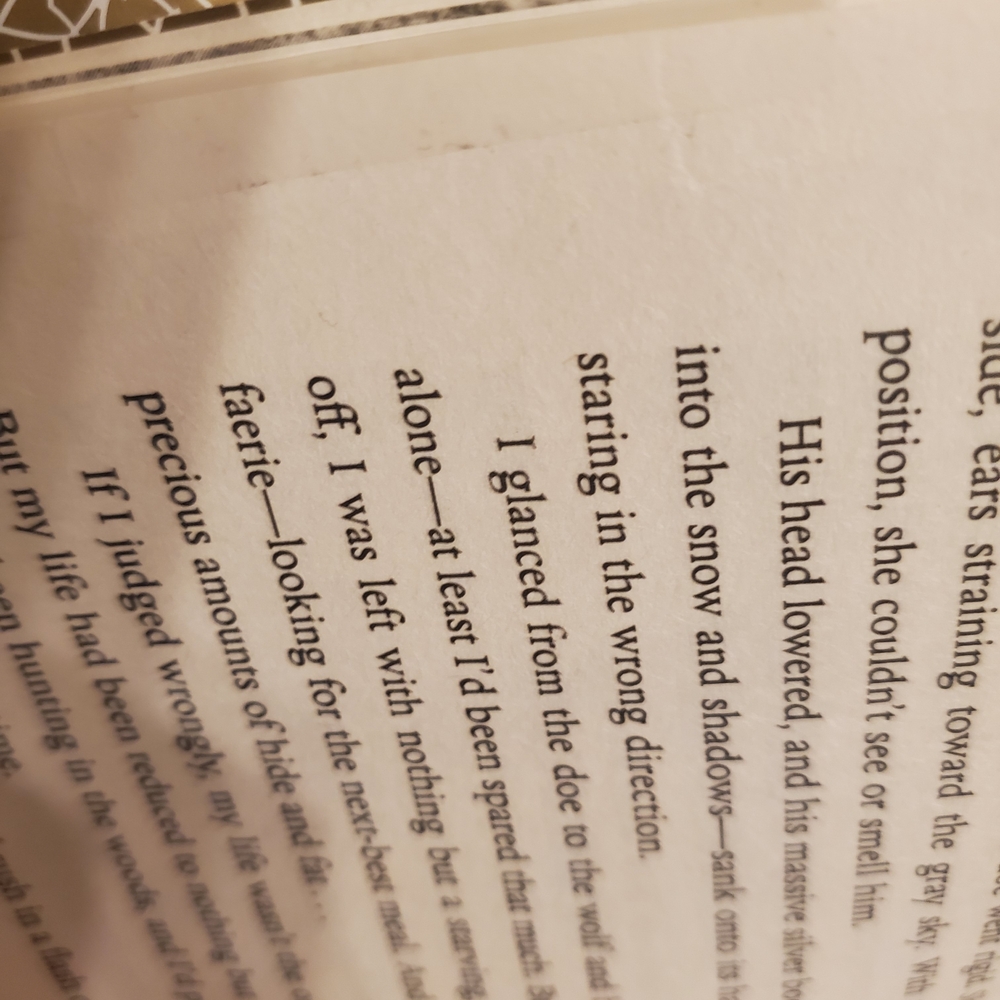 A Court of Thorns and Roses Collectors Edition - Picture 11 of 11